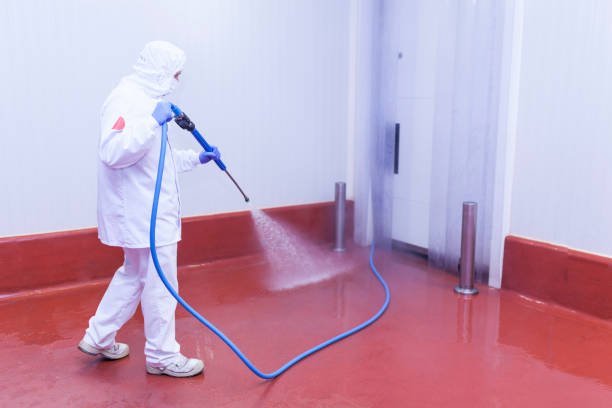 Trusted Flat Rock, MI Pressure Washing Services Experts
